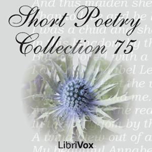 Short Poetry Collection 075 by Various
