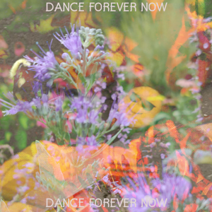 Dance Forever Now