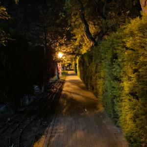 Лица сквозь строки