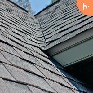 The Detroit Roofing Company