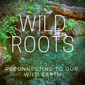 WILD ROOTS