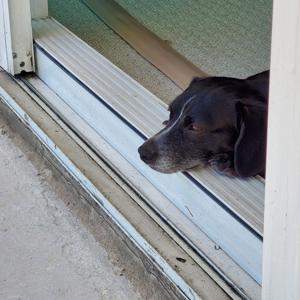 The Techwipe Experience