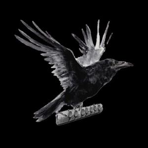 Vaping Raven - Life of Vapor
