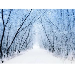 Why I love cold weather