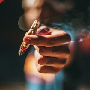 Let’s Be Blunt