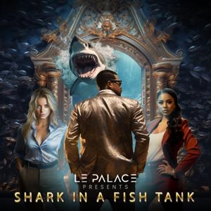 Shark in a Fish Tank