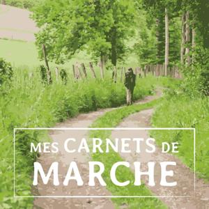 Mes carnets de marche