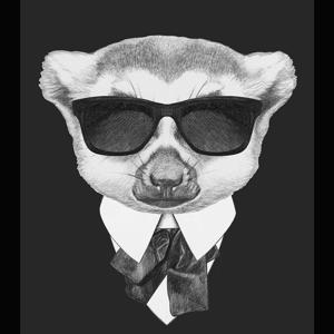 A Conspiracy of Lemurs