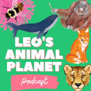 Leo's Animal Planet