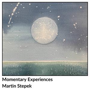 Momentary Experiences
