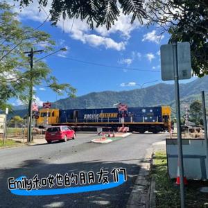 Emily和她的朋友们