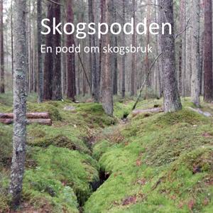 Skogspodden – en podd om skogbruk