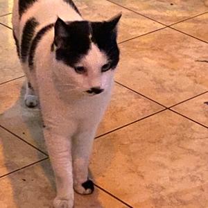 My mental health journey and how i coped