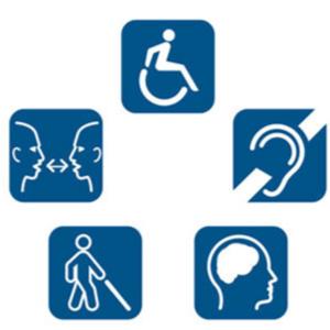 DISABILITY INCLUSION