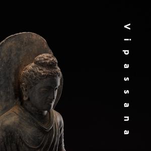 《开启智慧之门-毗婆舍那禅修讲记》