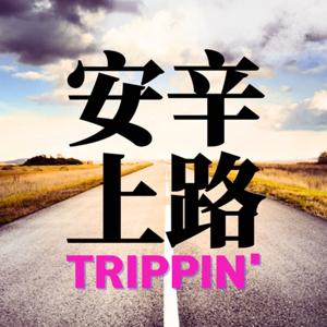 安辛上路