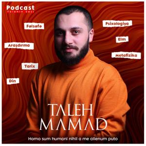 Talehin Səsi