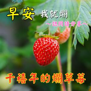 千禧年的爛草莓
