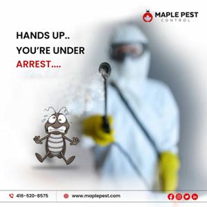 Pest Control Toronto informational podcast Call 416-520-8575 For Quote