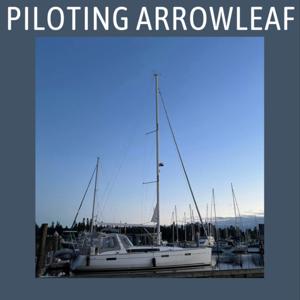 Piloting Arrowleaf