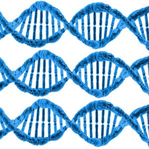 Introduction à l'apologétique