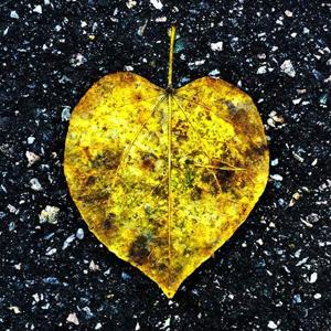 Story of Today Musisc