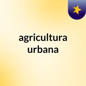 agricultura urbana