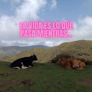La vida es lo que pasa mientras...