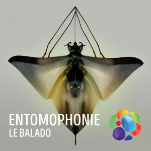 Entomophonie