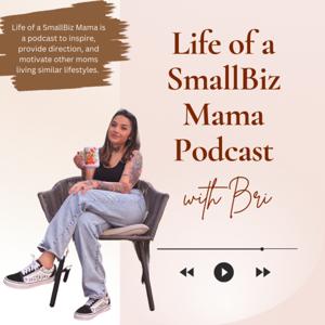 Life of a SmallBiz Mama