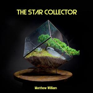 The Star Collector