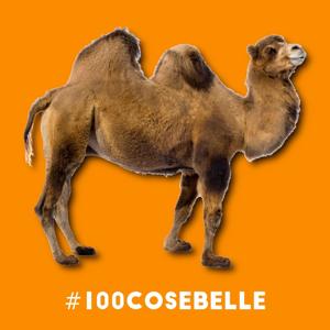 #100cosebelle by Andrea Ciraolo e Anna Polgatti