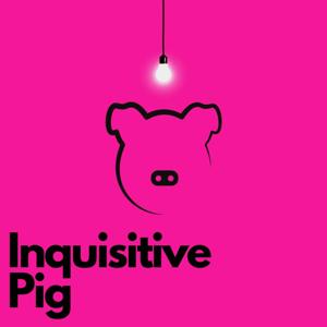 Inquisitive Pig