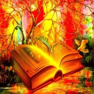 ocypelleocebook