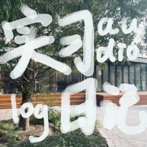 实习日记 audio log