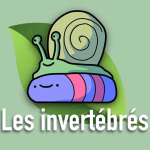 Les invertébrés : deux geeks lycéens débiles un peu marrants