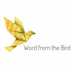 Chirpings of the Bird