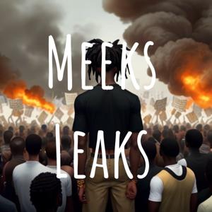 Meeks Leaks