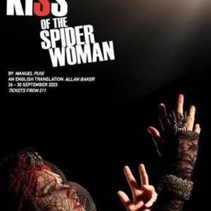 Episode 4 - Spiders, Lions and Twins and Mums