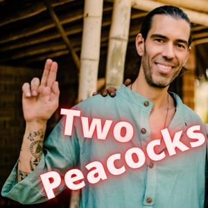 Two Peacocks