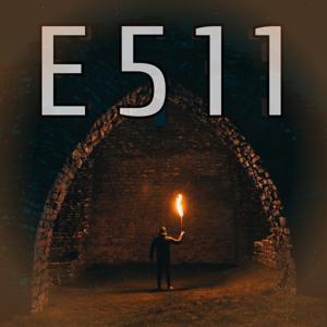 E511