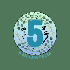 5 Minute Facts