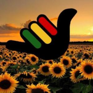 ~SunFlower-Seedz...Planting Seedz & Watching People Grow!~