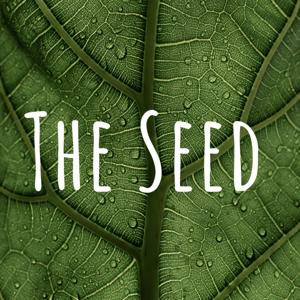 The Seed