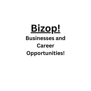 Business ideas hub's Podcast
