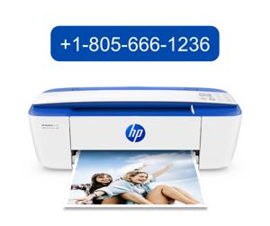 How to Set Up and Install an HP Printer: Easy Guide For HP Printer Setup