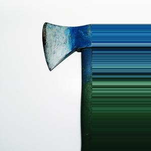 Schon morgens sind die Tiere wach. Was machen die denn bloß?