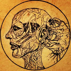 Brain Mites