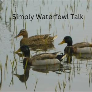 Simply Waterfowl Talk