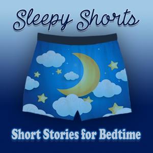 Sleepy Shorts